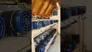 My Home Crypto Mining Shed uses over 50000 Watts shorts bitcoin crypto [upl. by Gaile]