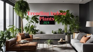 Top Houseplants Trends For 2024  Trending Indoor plant in 2024 [upl. by Ursa683]