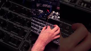 Adding some ARPs with the Behringer Pro800  chilloutmusic [upl. by Daiz]