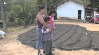 EFICO TRADE BRAZIL  COFFEE PROCESSES  THE DRY METHOD [upl. by Iarahs258]