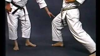 Shotokan KarateDo JKA  Nakayama Legacy 1 [upl. by Tezzil735]