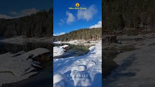 Calm Your Mind Meditation shorts meditation meditationmusic relaxingmusic stressrelief nature [upl. by Breanne]