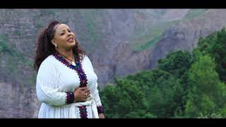 Amsal Mitike  ወይ ወሎ  Ethiopian Music 2019 Official Video [upl. by Malissia]