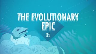 The Evolutionary Epic Crash Course Big History 5 [upl. by Ahsuat]