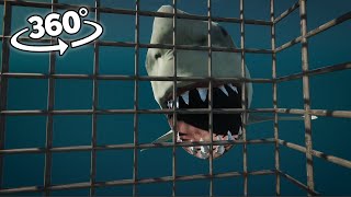 360° Shark is waiting you under the sea [upl. by Tremml493]