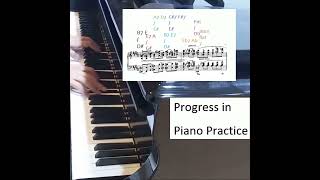 Chopin Fantaisie Polonaise Op 61 Short 1 [upl. by Rellia903]