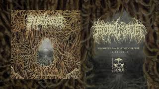 MORTIFERUM  Archaic Vision Of Despair official audio [upl. by Berlin]