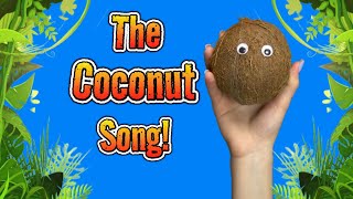 The Coconut Song A Catchy Song About Coconuts [upl. by Odlamur]