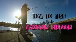 River2Sea Whopper Plopper  Everything You Need to Know [upl. by Otina263]