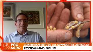 Comportamiento de los commodities agrícolas [upl. by Solracesoj754]