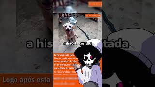 DESMISTIFICANDO VIDEOS  391 medo terrors desmistificando [upl. by Feigin]