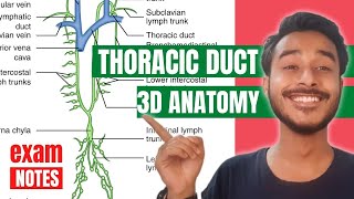 Thoracic Duct Anatomy In Hindi  Right Lymphatic Duct Anatomy  Thoracic Duct Tributaries Anatomy [upl. by Kerrie]