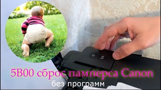 Canon ошибка 5B00 сброс памперса без программ [upl. by Adnarram]