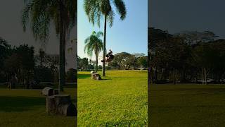 Treinando saltos capoeira acrobatics parkour viralvideo capoeiramovies [upl. by Ahsieyk]