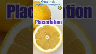 Placentation  Types of Placentation  Morphology of Flowering Plants  NEET  Class 11 Biology [upl. by Ayres449]