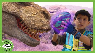 Can You Find the Magic Dinosaur Egg  TRex Ranch Dinosaur Videos for Kids [upl. by Llerroj437]