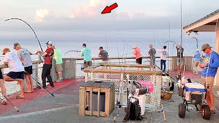 2 Hours of Catching Massive Fish from the Pier [upl. by Voe]