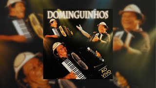 Dominguinhos  quotDe Volta Pro AconchegoGostoso DemaisTenho Sedequot Ao Vivo2006 [upl. by Sherrard]