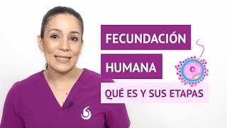 ¿Qué es la fecundación humana y cuáles son sus etapas [upl. by Louise]