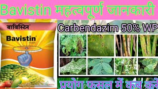 Carbendazim  Bavistin  bavistin fungicide uses  bavistin fungicide  carbendazim 50 wp uses [upl. by Kamat]