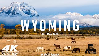 Wyoming 4K Relaxation Film  Grand Teton National Park  Yellowstone with Calming Music [upl. by Joyce]