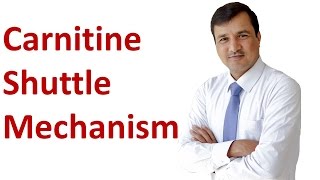 Carnitine Shuttle Mechanism [upl. by Wiskind]