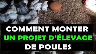 COMMENT MONTER UN PROJET DÉLEVAGE DES POULES [upl. by Orimlede615]