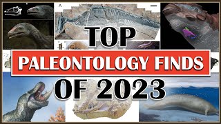 Top Paleontology Finds of 2023 [upl. by Neersin]