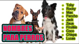 Nombres para perros machos🦮🐕‍🦺🐩 [upl. by Joane]