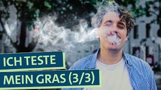 Wie gut ist mein Gras Selbstexperiment Cannabis Anbau Was muss ich beim Konsum beachten 33 [upl. by Lyon]