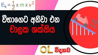 🏹විභාගෙට එන ප්‍රශ්න කලින්ම බලමු 🏹 Grade 11 Science  Grade 10 Science10 විද්‍යාව11 විද්‍යාව [upl. by Vevine]