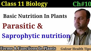 Basic nutrition in plants  parasitic nutrition  saprophytic nutrition  class 11th Biology [upl. by Maroney333]