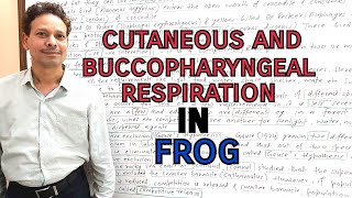 Cutaneous and Buccopharyngeal Respiration in FrogRana Tigrina  For IASNEETGATENET and BSc [upl. by Arrait]