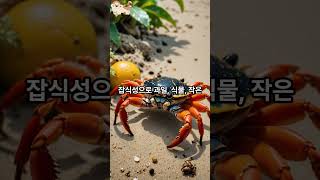 Shorts 블랙아이크랩 Gecarcinus quadratus 할로윈게로도 불리우는 블랙아이크랩 동물 유튜버 애완동물관리할로윈 게할로윈게 [upl. by Dlanger]