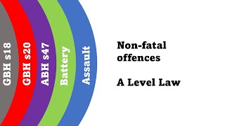 Summary of Non Fatal Offences Against the Person Elements Injuries and How to Spot the Offence [upl. by Zoarah710]