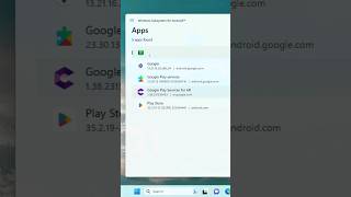 Install Google Play Store in Windows 1011 [upl. by Dnomasor]