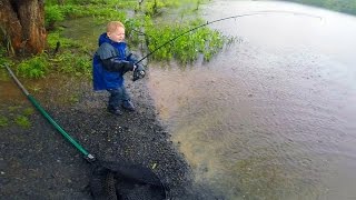 Carp fishing tips and techniques  New carp bait  How to catch carp in a lake or pond [upl. by Eddra]