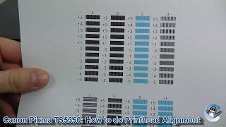 Canon Pixma TS5350 How to do Manual Print Head Alignment [upl. by Nugesulo]