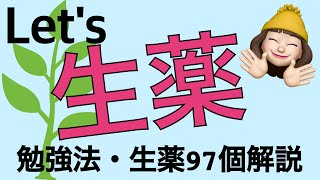 【生薬】登録販売者試験amp薬学生におすすめ勉強法と解説 [upl. by Lamok793]