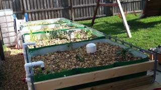 Mikes Aquaponics  Introduction to Aquaponics and Mikes First System  Part 1 [upl. by Ludly]