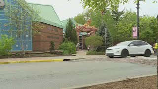 Saint Louis Zoo closes early Sunday due to fights at nearby carnival [upl. by Cottrell]