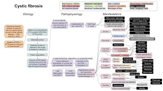 Cystic fibrosis mechanism of disease [upl. by Almira]