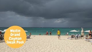 Westin Grand Cayman Resort Tour [upl. by Ledah465]