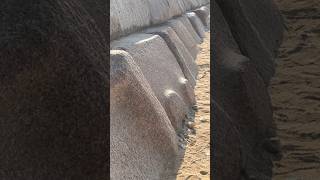 Bosses Nubs on the Menkaure Pyramid Granite Casing Stones [upl. by Sema444]