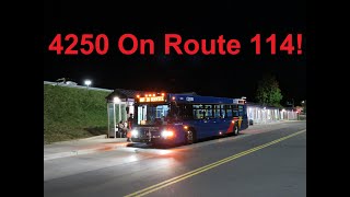 NeoplanDude  CDTA 2024 Gillig Advantage 4250 On Route 114 To Crossgates Mall [upl. by Woodcock221]