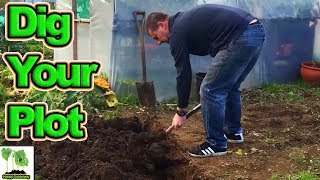 How To Dig Your Allotment [upl. by Delacourt]