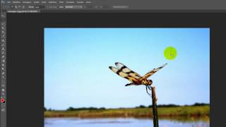 Come creare animazioni in GIF dalle foto con Photoshop [upl. by Ingamar458]