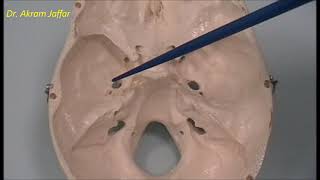 Osteology of the skull 6 cranial cavity [upl. by Ahsitneuq]