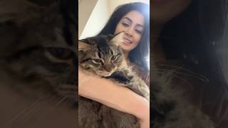 Sharing is caring 🥰😻 Fadia Shaboroz official shorts subscribe [upl. by Akinal475]