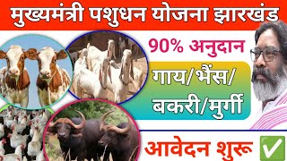 90 में गायभैंस आवेदन शुरू✅ Mukhyamantri Pashudhan Vikas Yojana Jharkhand Sarkar Aapke Dwar [upl. by Ursulina]